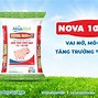 Anova Feed Của Ai Sản Xuất Năm Nào 2024