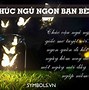 Lời Chúc Ngủ Ngon Ngọt Ngào Cho Crush