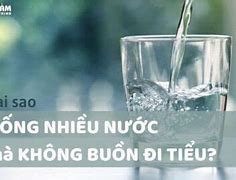 Uống Nước Bao Lâu Thì Đi Tiểu